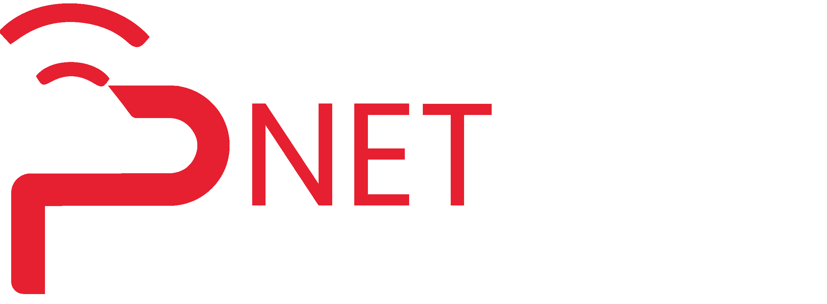 NetPlus Logo